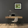 thumbnail image 3 of Zuckerman, Jim 18x15 Black Ornate Wood Framed with Double Matting Museum Art Print Titled - USA, Alaska Grizzly bear licks dead tree branch, 3 of 4