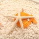 thumbnail image 3 of Advancent Natural 5-12 cm/10-12 cm dedo blanco estrella de mar mar elegante hogar pelo boda decoración y proyecto artesanal Decoración del hogar blanco 10-12cm, 3 of 6