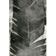 thumbnail image 2 of Brown, Denise 13x18 Black Ornate Wood Framed with Double Matting Museum Art Print Titled - Palm Expression 2 V2, 2 of 4