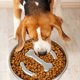 thumbnail image 2 of Slow feeder bowls for dogs Stainless steel with nonslip base, 2 of 5