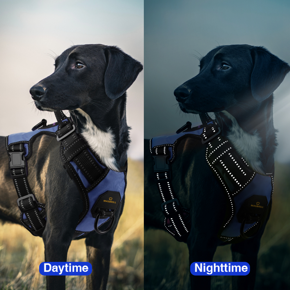 MASBRILL Reflective No Pull Dog Harness, Small, Blue photo 7