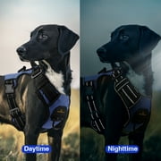 MASBRILL Reflective Dog Harness No Pull Dog Vest Harness With Handle, Breathable Padded Dog Chest Harness Adjustable for Small Medium Large Dog-Blue