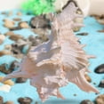 thumbnail image 3 of yuksok Conch Shell Aquarium Ornament Collectible Decorative Tank Decor for Wedding 9 to 11cm, 3 of 9