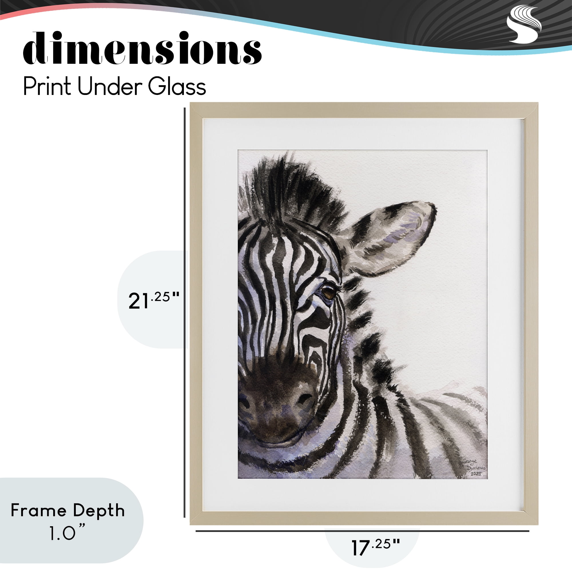 Stupell Industries Zebra Portrait on White Birch Framed Print Under Glass, design by George Dyachenko