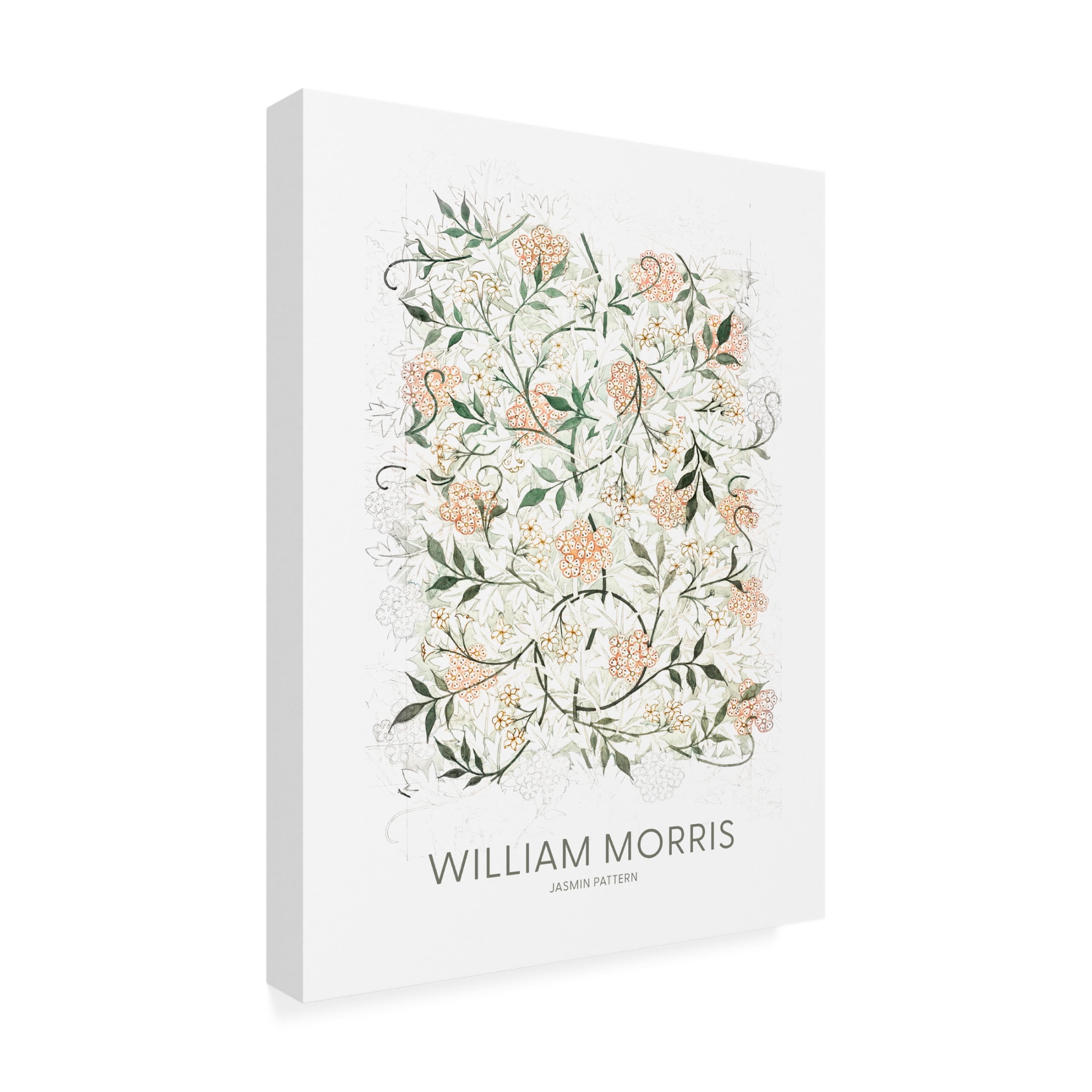 Trademark Fine Art Pictufy  Jasmine Canvas Wall Art