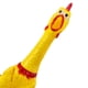 thumbnail image 4 of Paquete de 3 juguetes para perros con pollo chillón, juguete de pollo de goma amarilla, pollo de goma novedoso y duradero para perros, pollos de goma, 4 of 5