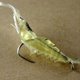 thumbnail image 4 of 10 unidades de señuelos de pesca de camarón blandos, 4 cm, PVC transparente, cebo para lubina de agua salada, ligeros, 4 of 5