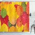thumbnail image 1 of Ambesonne Fall Leaves Shower Curtain, Close Shot Raindrops, 69"Wx84"L, Multicolor, 1 of 3