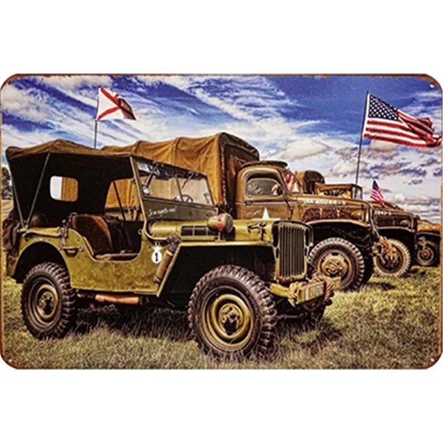 Chapa Metal Vintage para Coche Pintura Hierro Rectangular Pared Y Bar 30x20cm