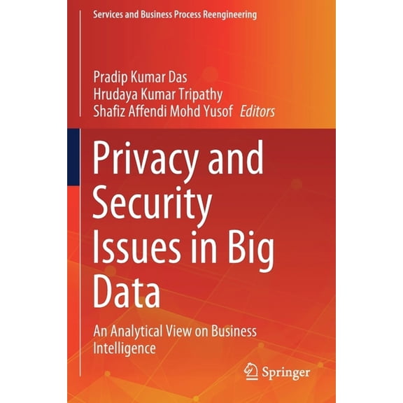 Services and Business Process Reengineer Privacy and Security Issues in Big Data: An Analytical View on Business Intelligence, (Paperback)