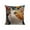 A6, variant on Ohmyroo Cute Animals Print Pillow Set 17.7x17.7 Inches Comfortable Fabric For Bedroom Living Room Sofa Cushion Decoration
