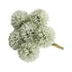 thumbnail image 4 of Flor artificial Cateissary 6 uds Hortensia Verde, 4 of 6