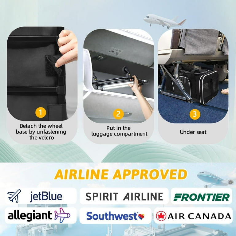 Allegiant air approved pet carriers online