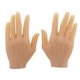 thumbnail image 1 of Mano de práctica de tatuaje Modelo de mano de piel falsa de tamaño natural para tatuar Educación de entrenamiento para tatuadores experimentados y principiantes (mano izquierda + mano derecha) ShuxiuWang 1327533084161, 1 of 4