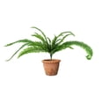 thumbnail image 5 of UV Resistant Lifelike Artificial Boston Fern, 28/38/60/88 Branches 2025 New Artificial Ferns, Ferns Artificial Plants Large for Planters, Office & Home Decor, Outdoor & Indoor, 5 of 9