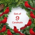 thumbnail image 4 of Cardinal Clip On Christmas Ornament, 4 of 5