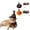 A001- Black, variant on Halloween Cat, Cat Halloween Collar, Kitten Halloween, Pumpkin Cat, Orange 2-Piece Halloween Pet Accessory Set with Pumpkin Witch Hat, Web Accents and Colorful Bells for Small Cat