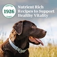 thumbnail image 3 of Nutro Natural Choice Adult Dry Dog Food Lamb & Brown Rice Recipe 5.44kg, 3 of 18