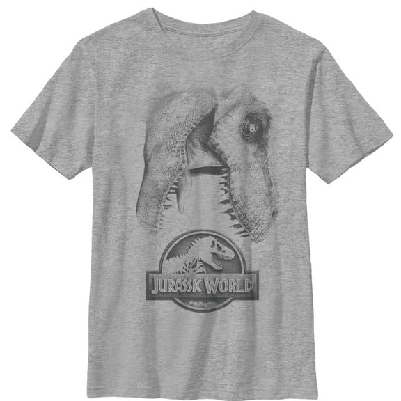 Boy's Jurassic World: Fallen Kingdom T. Rex Bite Graphic Tee Athletic Heather Medium