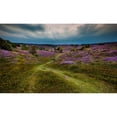 thumbnail image 3 of Henk van Gog 18x12 Black Modern Framed Museum Art Print Titled - Landscape in purple, 3 of 5