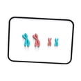 thumbnail image 2 of Yinanstore Chromosome Changes Model Learning Tools Biological Educational Learning Demonstration Kit Teaching Instruments for Classroom Red Blue, 2 of 8