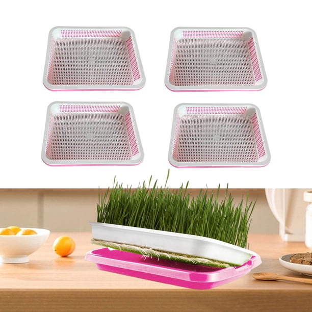 Bandeja para germinar semillas de jardín, 4 piezas, cultivo de pasto de trigo, granos, plántulas de PP, bandeja para germinación de cultivo en interiores y exteriores rosa