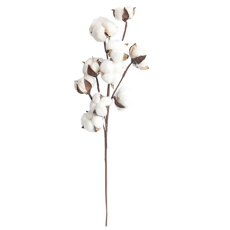 Naturally Dried Cotton Stems Farmhouse Artificial Flower Filler Floral Home Deco 