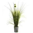 thumbnail image 1 of Herbe & Pissenlit avec Planteur de Ciment, 1 of 1