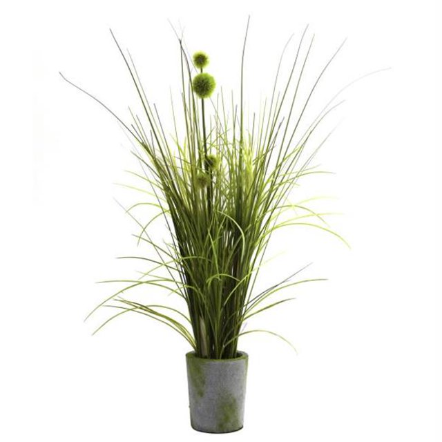 Herbe & Pissenlit avec Planteur de Ciment