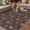 Brown, variant on Brown Daisy Outdoor Rug for Patio/Deck/Porch, Non-Slip Large Area Rug 6 x 9 Ft, Modern Farmhouse Chrysanthemum Floral Indoor Outdoor Rugs Washable Area Rugs, Reversible Camping Rug Carpet Runner
