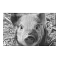 thumbnail image 2 of CADecor sweet piglet black white Non-Slip Bath Rug Bath Mat Rug Doormat 30x18 inches, 2 of 3