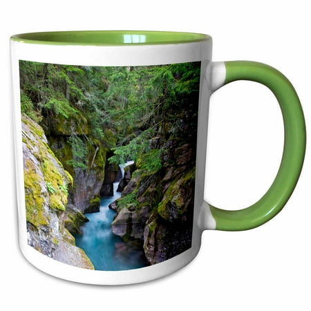

3dRose Montana Glacier National Park Avalanche Creek - US27 JWI0153 - Jamie and Judy Wild - Two Tone Green Mug 11-ounce