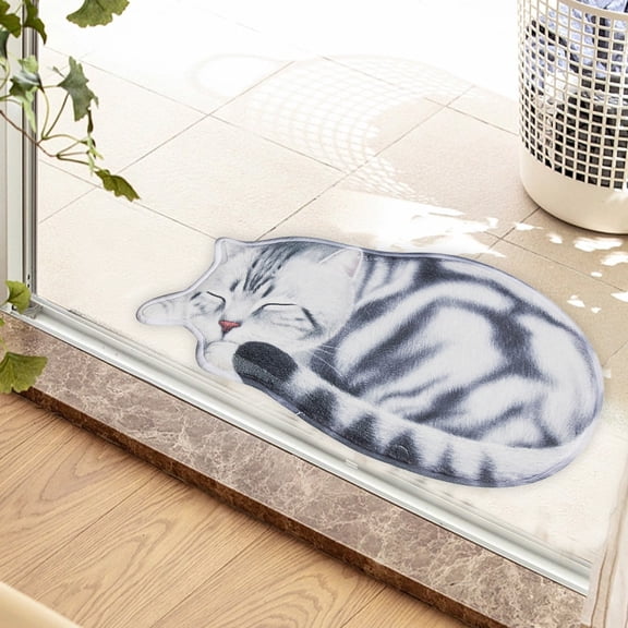 Funny Welcome Mats For Front Door,Mats For Front Door,3D Pussy Theme Series Carpet,30*16IN Welcome Cat Front Door Mat, Funny Home Entryway Decor Indoor Outdoor Non-Slip Doormat(B)