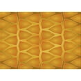 thumbnail image 1 of Ahgly Company Machine Washable Indoor Rectangle Transitional Neon Orange Area Rugs, 2' x 4', 1 of 7