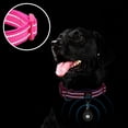 thumbnail image 4 of Reflective Dog Collar,Soft Neoprene Padded Pet Collar with ID Tag Ring,Adjustable for Small Dogs, 4 of 5
