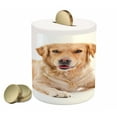 thumbnail image 1 of Golden Retriever Piggy Bank, Young Pedigree Puppy Laying over White Background Dog, Ceramic Coin Bank Money Box for Cash Saving, 3.6" X 3.2", Sand Brown White, by Ambesonne, 1 of 4