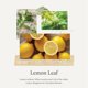 thumbnail image 2 of Limpiador doméstico Countertop Spray Thymes Lemon Leaf, 500 ml, 2 of 6