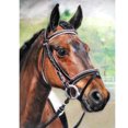 thumbnail image 1 of Cuadros Decorativos 5D diamante pintura caballo DIY completo redondo taladro mosaico pared dibujos (L3004) Sywqhk Nuevos Originales, 1 of 9
