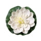 thumbnail image 1 of Decoración para el hogar 1pcs Simulación Hoja de loto Lotus Fish Decoraciones para tanque Decoración para el hogar Flores de loto simuladas Flores flotantes Hermosas flores Props Flor preservada, 1 of 5