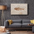 thumbnail image 3 of wall26 - Canvas Wall Art - Vintage Animal Fish Fossil Living Room Poster Prints - Modern Home Art Stretched and Framed Ready to Hang - 16x24 inches, 3 of 4