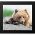 thumbnail image 2 of PHBurchett 13x12 Black Modern Framed Museum Art Print Titled - Bear Life IV, 2 of 5