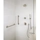 thumbnail image 2 of Delta Faucet Trinsic Ducha De Mano De Montaje En Pared Con Rociador Único Ducha De Mano Con Manguera Níquel Cepillado Cabezal De Ducha De Mano Barra Deslizante Ducha De Mano Ducha De Mano Inoxidable 5, 2 of 3
