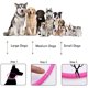 thumbnail image 3 of Collar de perro con luz LED, recargable por USB, collar de seguridad para mascotas de longitud ajustable para perros y gatos, 3 of 5