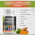 thumbnail image 3 of Supplement Clean Nutraceuticals, cúrcuma, moringa y jengibre, paquete de 3, 3 of 5