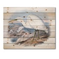 thumbnail image 3 of Designart 'Ancient Australian Birds XIII' Traditional Print on Natural Pine Wood, 3 of 5
