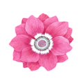 thumbnail image 3 of LEFU for Lotus Flower Round Carpet Chinese Style Floor Mat Bedside Rug Non-Slip Absorbent Kitchen Bathroom Living Room Entrance Soft Polyester Crystal Velvet 40x40cm, 3 of 10