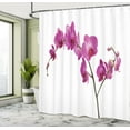 thumbnail image 5 of Ambesonne Flowers Shower Curtain, Wild Orchids Petals, 69"Wx84"L, Violet, 5 of 5