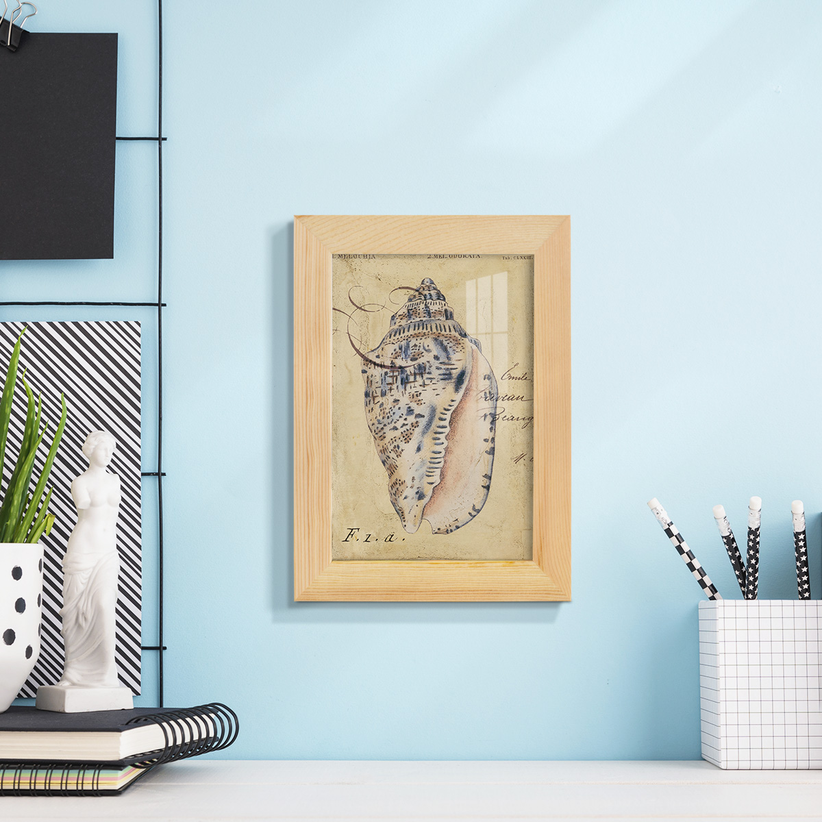 Seashell Ephemera I - Framed Print w/glass - Natural Wood