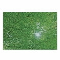 thumbnail image 1 of Forest Cutting Board, Sun Through Tree Branch and Leaf Top Relaxing Peaceful Serene Environment Rural Design, Decorative Tempered Glass Cutting and Serving Board, Small Size, Green, by Ambesonne, 1 of 1