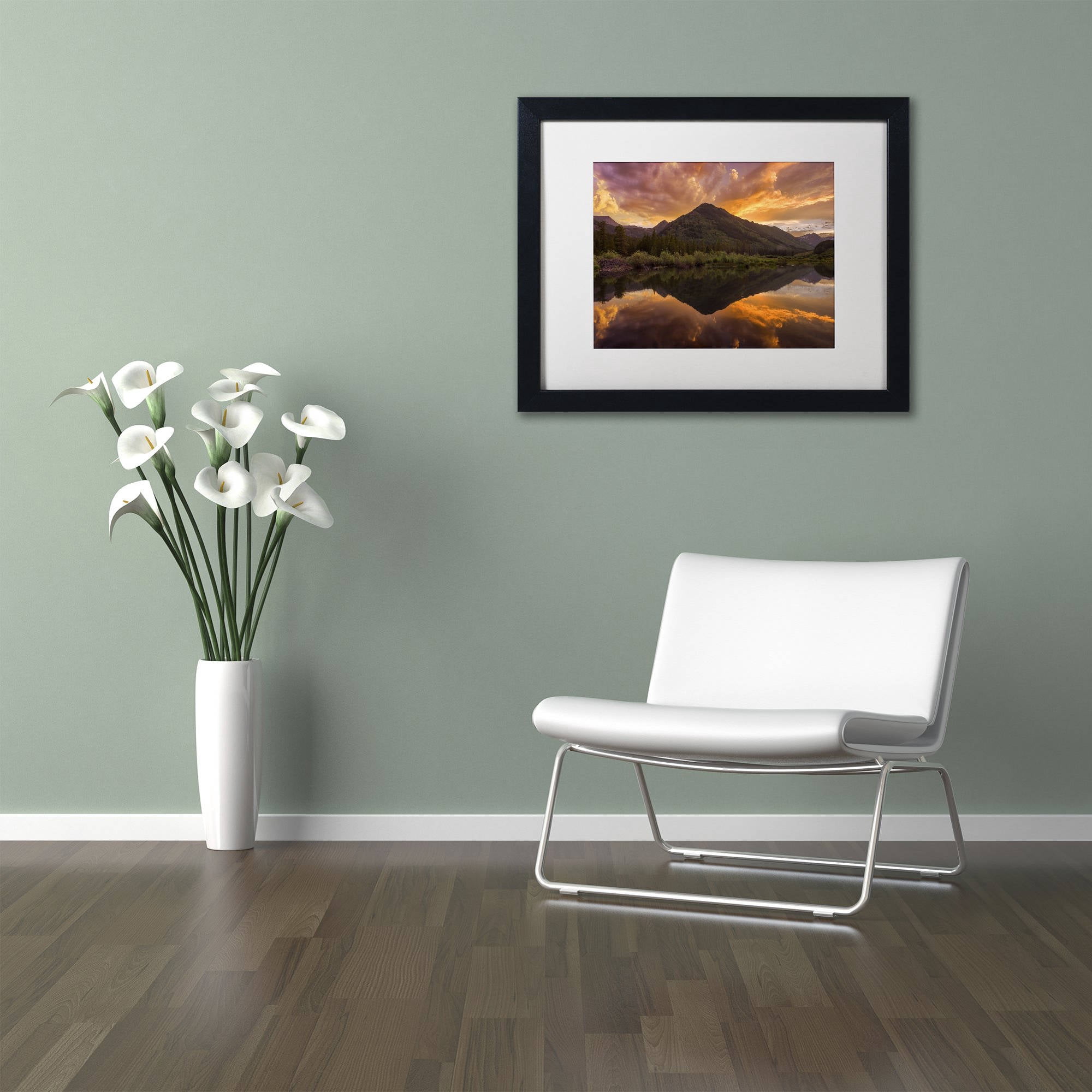 Trademark Fine Art "Orange Majesty" Canvas Art by Michael Blanchette Photography White Matte, Black Frame